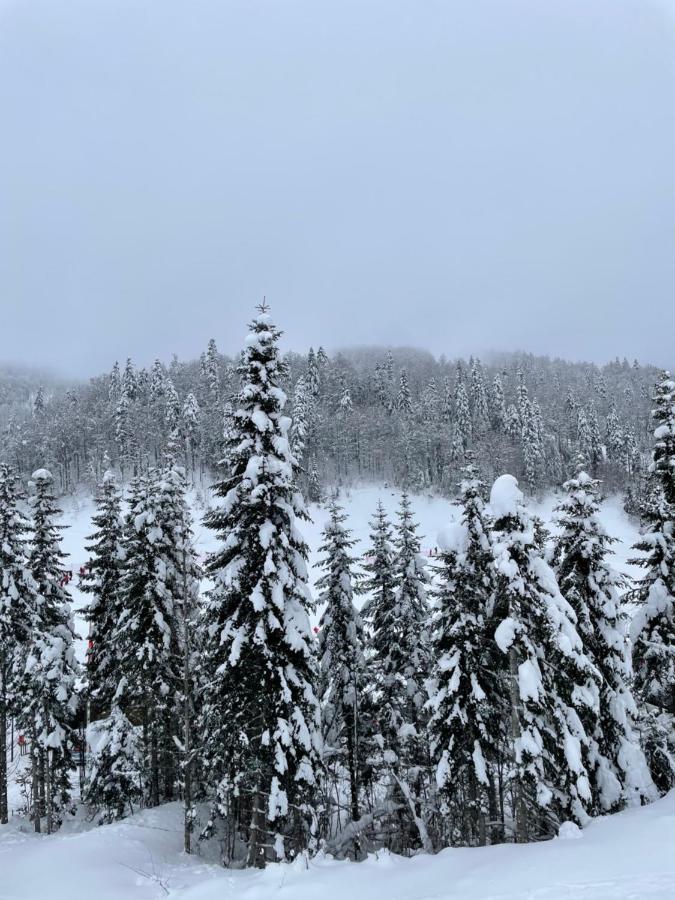 Wild Beauty Apartment-Modern Mountain 2 コラシン エクステリア 写真